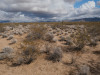 1.25 Acres Arizona Land