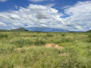 Cheap Arizona Land, 2.47 Acres