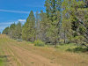 1.47 Acres California Land