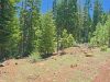 1 Acre for $111 a month 1 Acre California Land