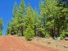 Cheap Monthly Payment of $121 0.9 Acres California Land