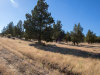 California Land for Sale, $122 per month 1.47 Acres California Land