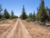 1.47 Acres, California Land for Sale