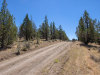 Cheap Monthly Payment of $108 1.49 Acres California Land