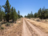 1.37 Acres of Land for Sale in California 