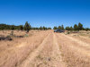 California Land Auction 1.47 Acres California Land