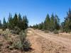 1.47 Acres California Land