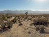 20 Acres California Land