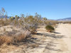 2.5 Acres California Land