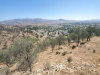 California Land Auction 0.82 Acres California Land