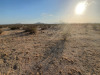1.86 Acres, California Land for Sale