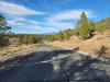 California Land for Sale, 0.29 Acres