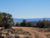 California Land Auction 3.76 Acres California Land