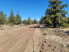 1.56 Acres of California Land