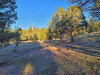 0.39 Acres, California Land for Sale