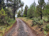20 Acres California Land