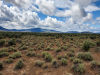 280 Acres California Land