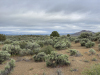 California Land for Sale, 0.91 Acres