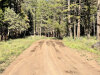 2.5 Acres California Land