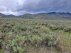 40.50 Acres of Cheap California Land