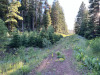California Land for Sale, .92 Acres