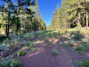 .92 Acres of California Land