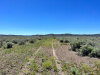 20 Acres California Land