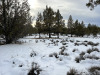California Land for Sale, 0.92 Acres