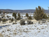California Land Auction, 1.12 Acres 1.12 Acres California Land