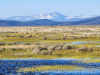 21 Acres of California Land for Sale