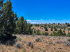 20 Acres California Land