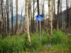 Colorado Land for Sale, $152 per month 1.66 Acres Colorado Land