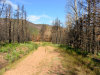 1.30 Acres of Colorado Land