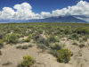Colorado Land Auction 5 Acres Colorado Land