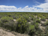 5.0 Acres of Colorado Land