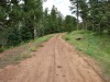 Colorado Land for Sale, 1.2 Acres 1.2 Acres Colorado Land