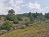 Great views from this 5 Acre Lot 5 Acres Colorado Land