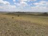 6.27 Acres Colorado Land
