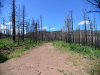 1.60 Acres, Colorado Land for Sale