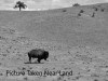 Cheap Monthly Payment of $140 5 Acres Colorado Land