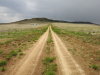 Owner Financing, $320 per month 5.07 Acres Colorado Land