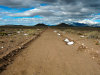 40.00 acres