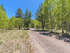 Land for Sale in Colorado, 1 Acre 1 Acre Colorado Land