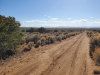 82.56 Acres Colorado Land