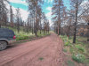 Colorado Land Auction, 1.88 Acres 1.88 Acres Colorado Land