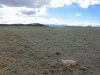 Owner Financing, $320 per month 6.65 Acres Colorado Land