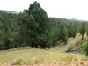 1.09 Acres Colorado Land