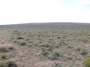 40 Acres of Colorado Land for Sale