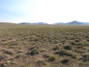 40 Acres Colorado Land