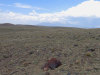 160 Acres Colorado Land